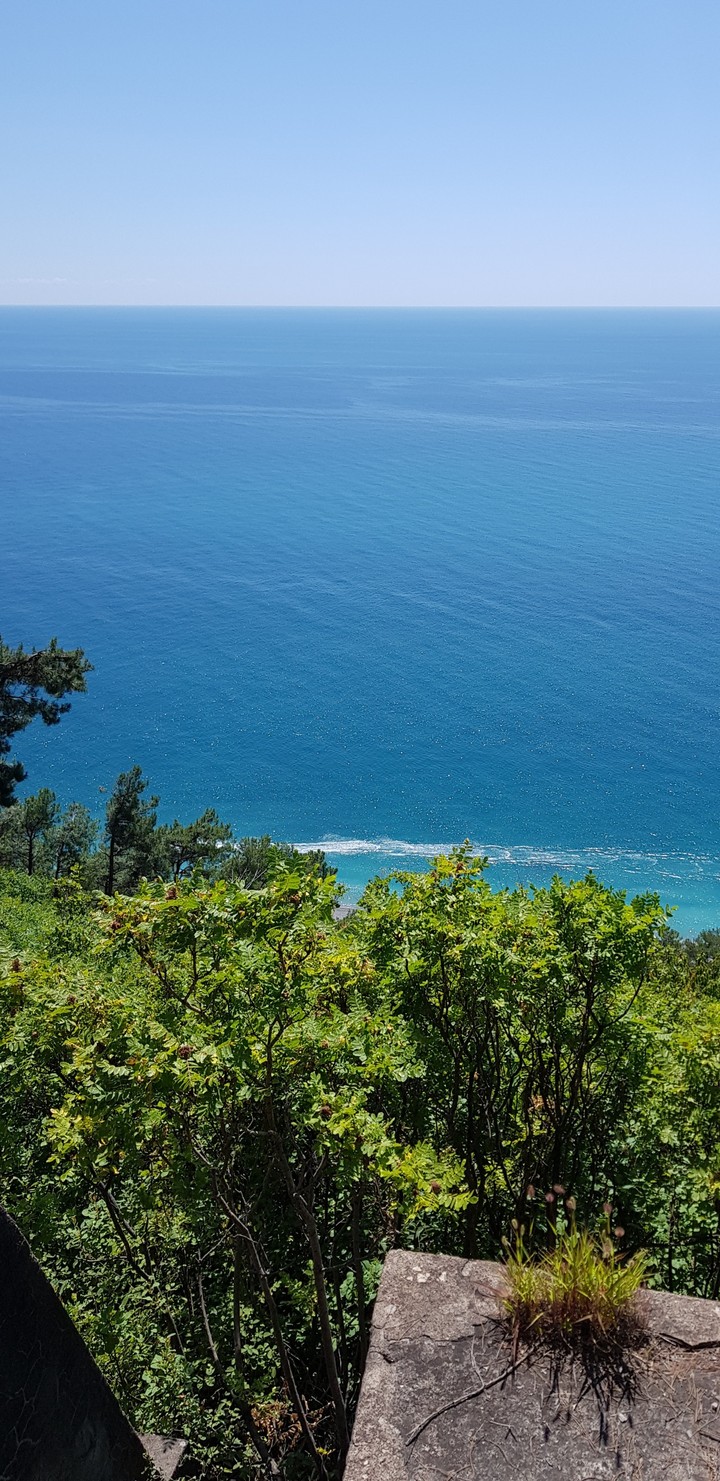 sea