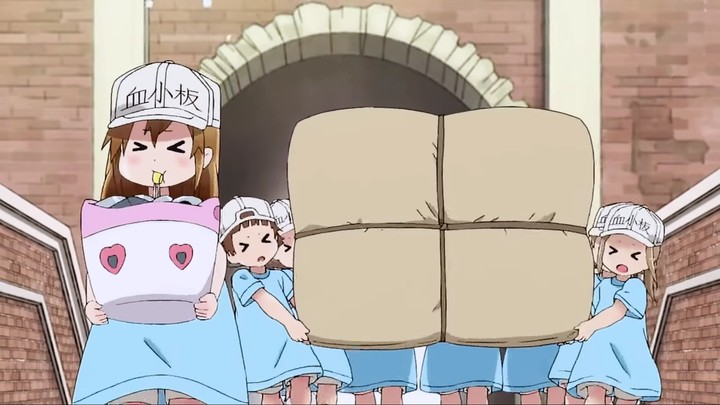 Cells at work !