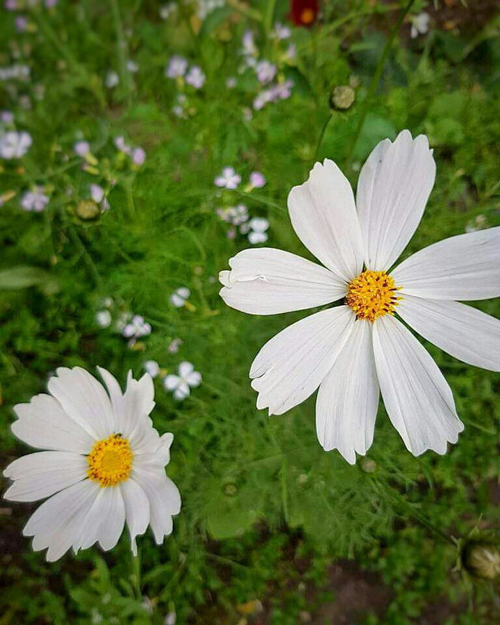 ?