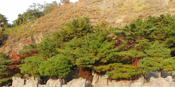 Surisan Mountain