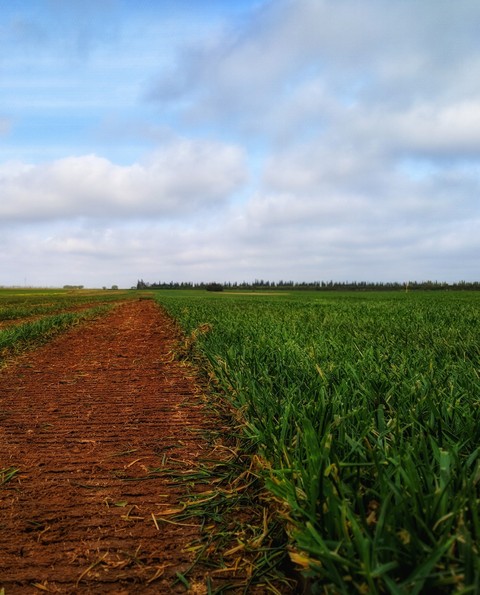landscape