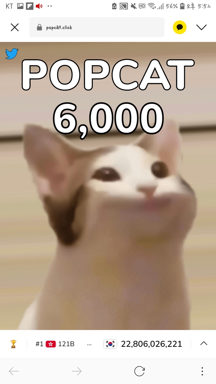 우리 함께 팝캣합시다?