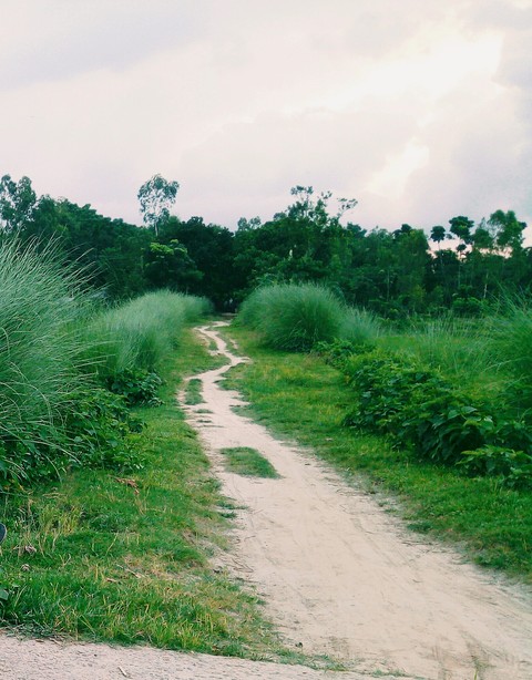 village road