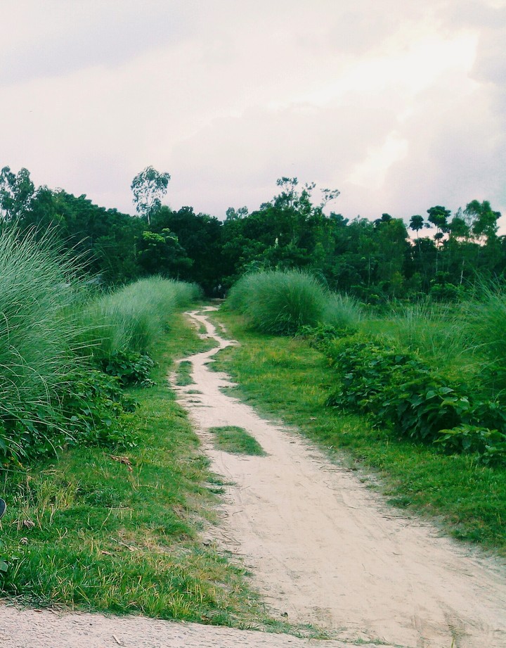 village road