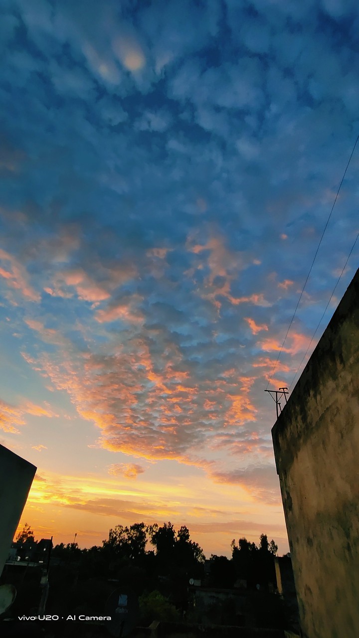 Evening shot