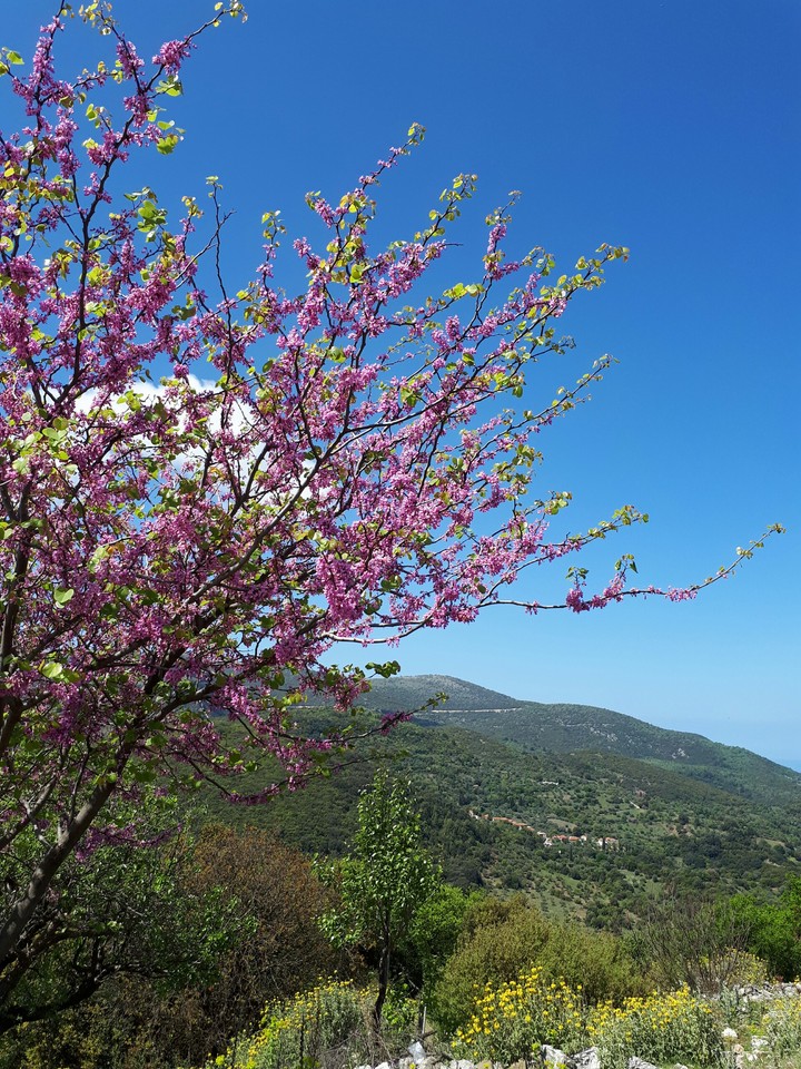 Nature in Greece