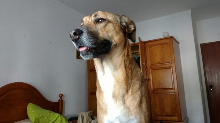 tita