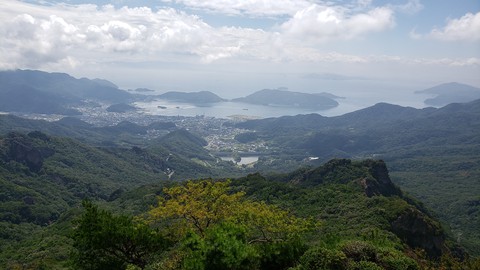 view