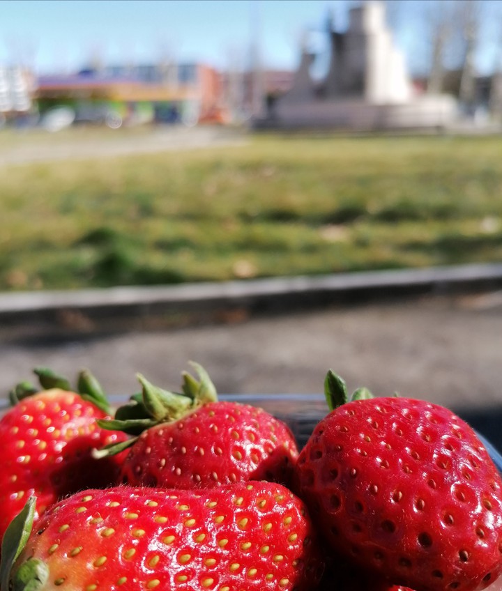 Strawberries