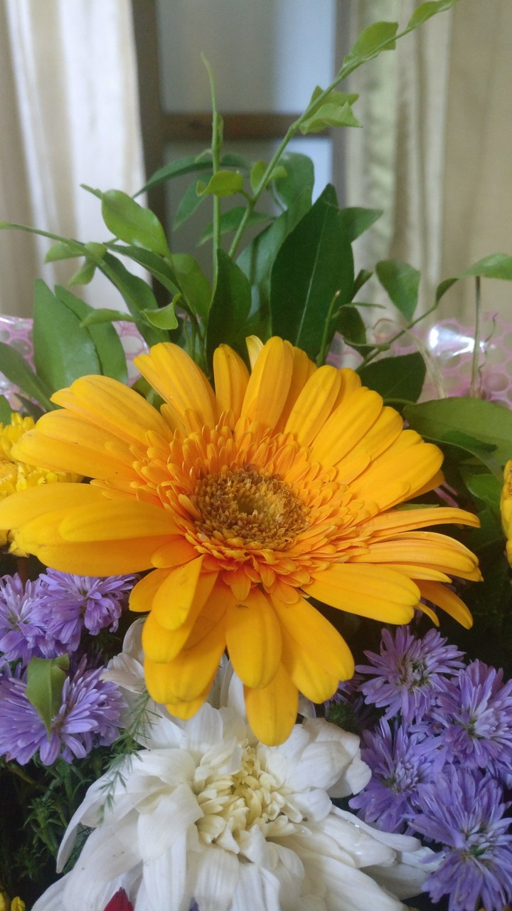 flowers