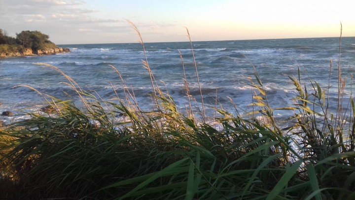 sea