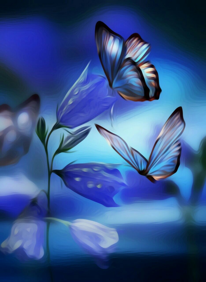 butterflies