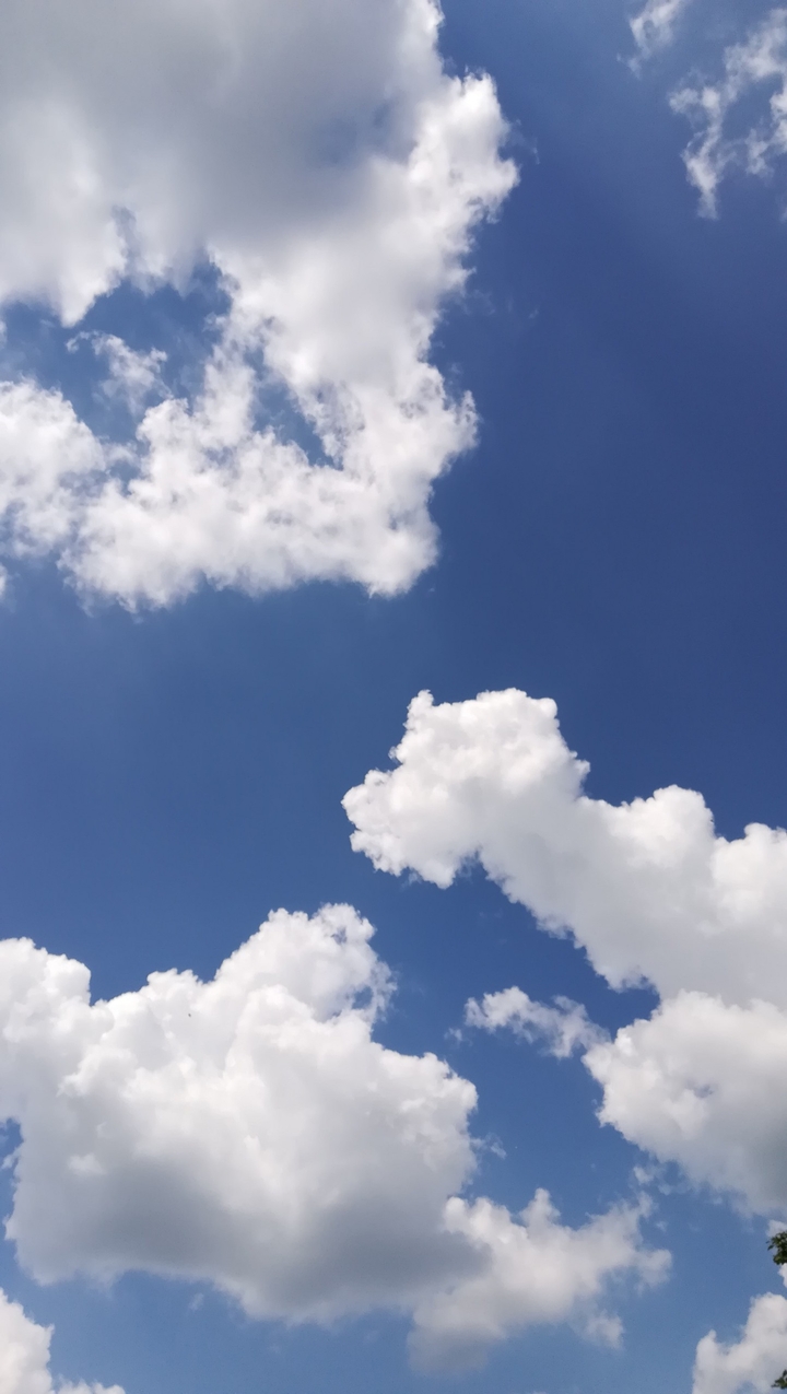 blue sky