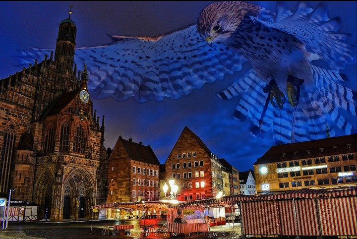 Hawk ober Nuremberg