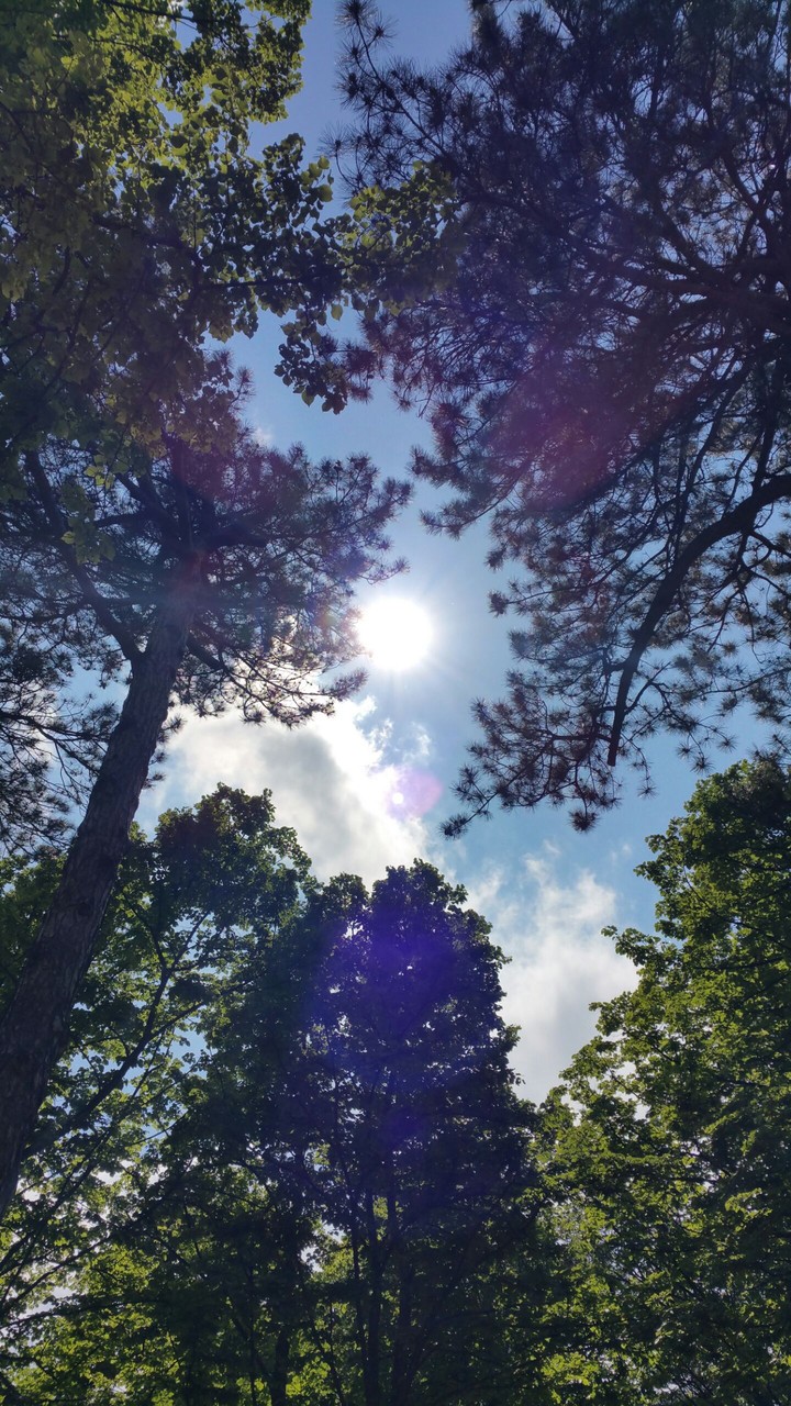sun