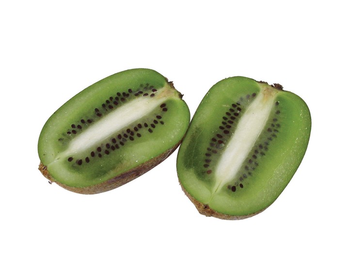 음식이미지