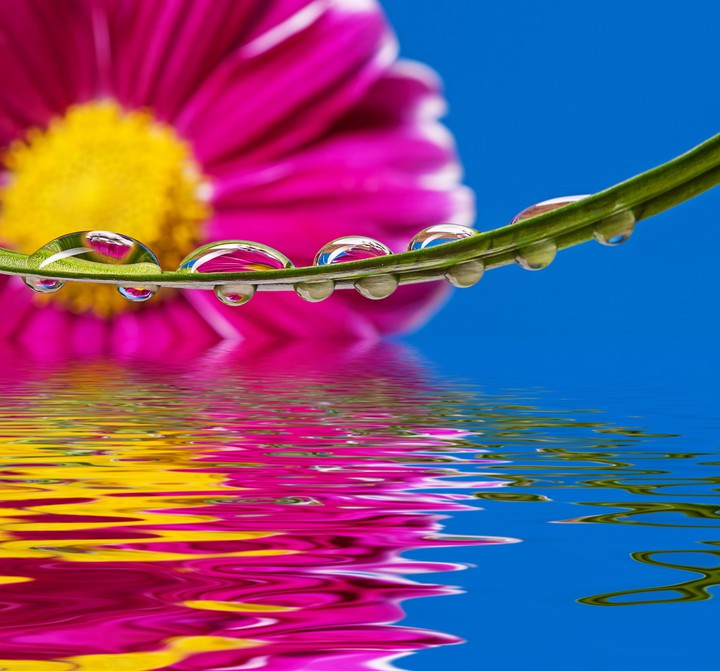 water drops