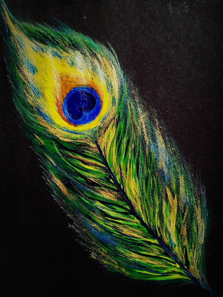 Peacock Feather