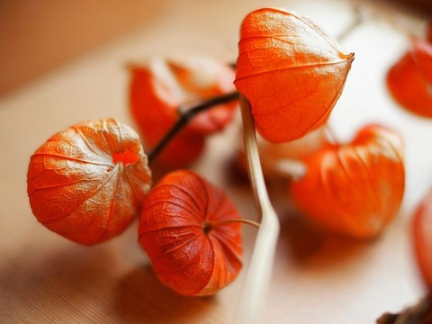 обои fruit, food
