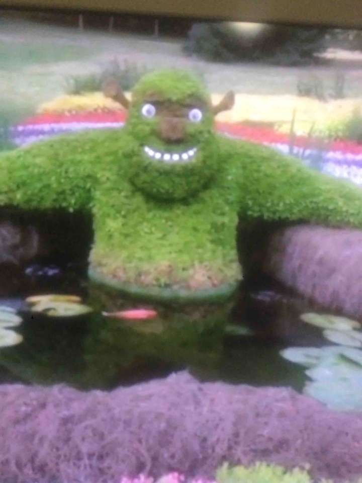 ?