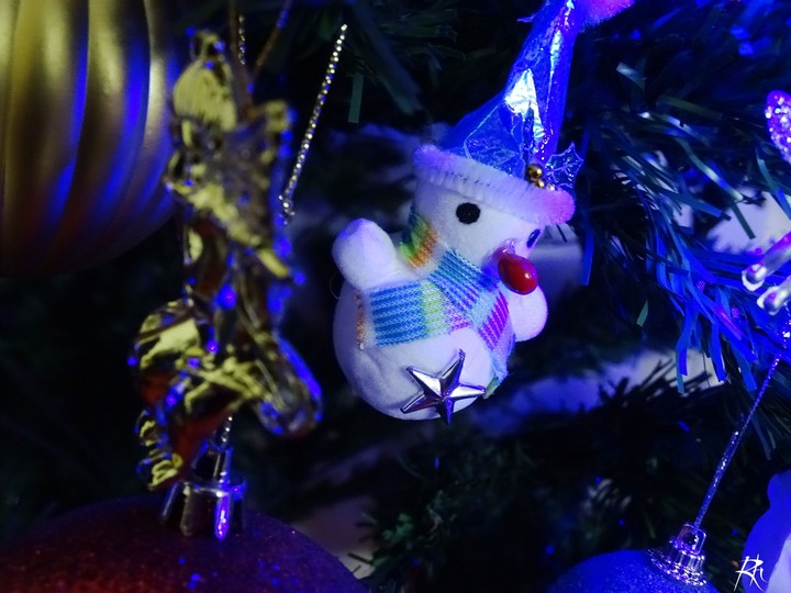 Christmas Decorations