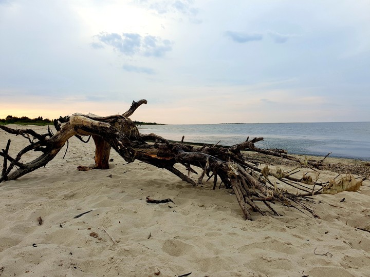 Baltic Sea