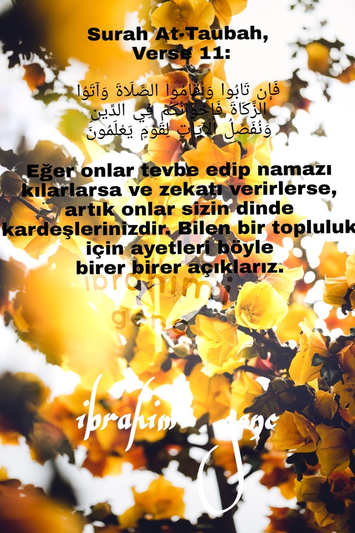 kuran(quran)tevbe 11