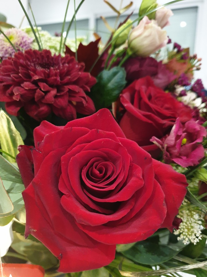 Love & rose