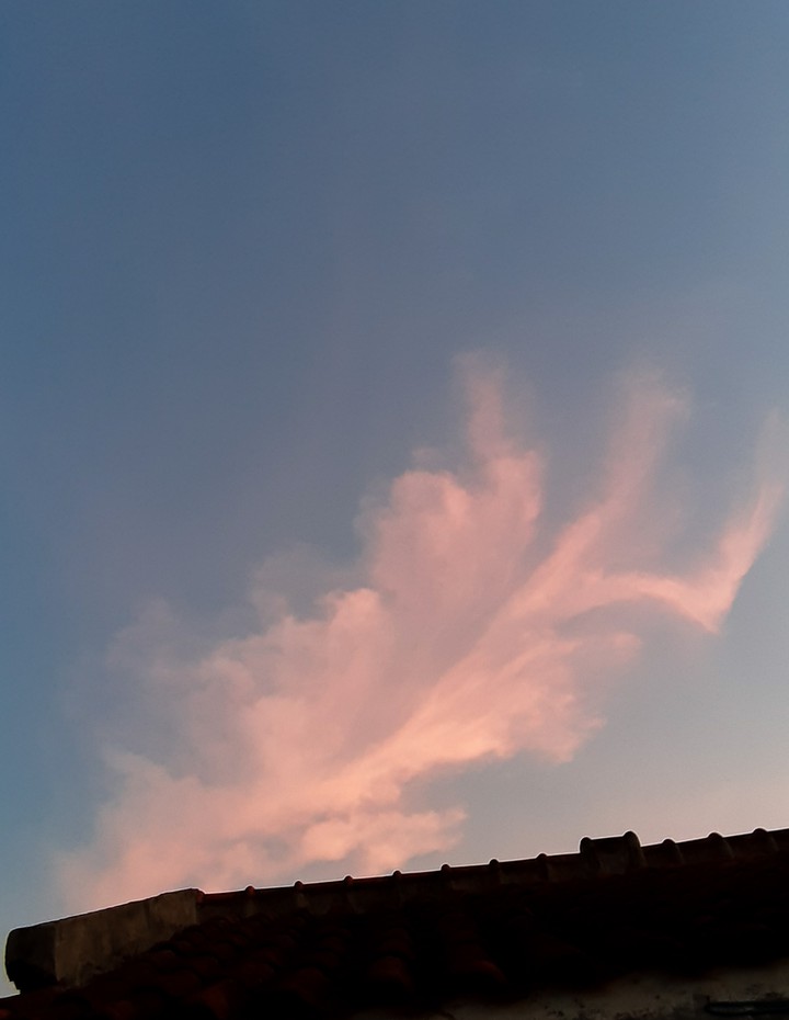 evening sky