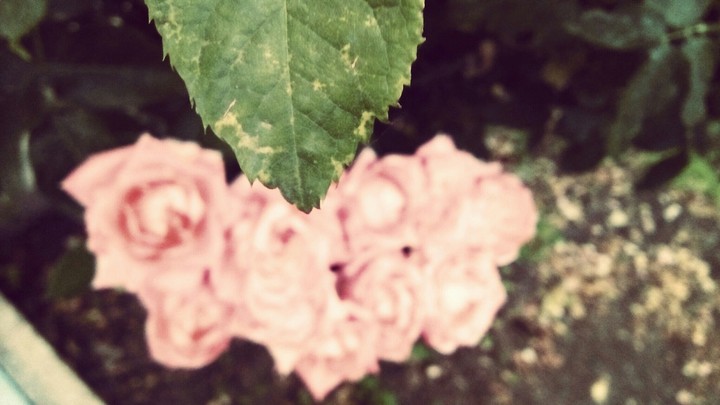 past