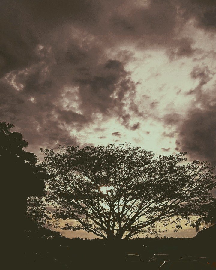 Igatpuri December Christmas Evening