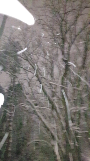 снег