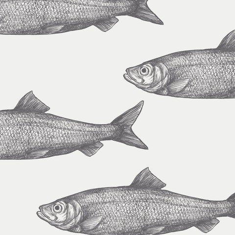 Fishes pattern