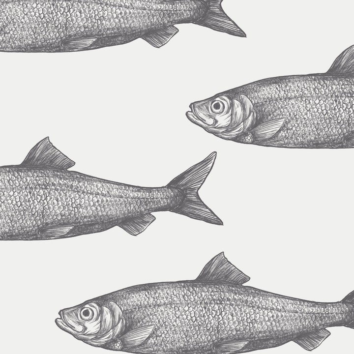 Fishes pattern