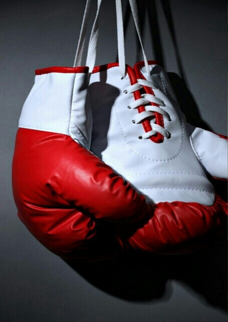 kickbox is the best  combat sport