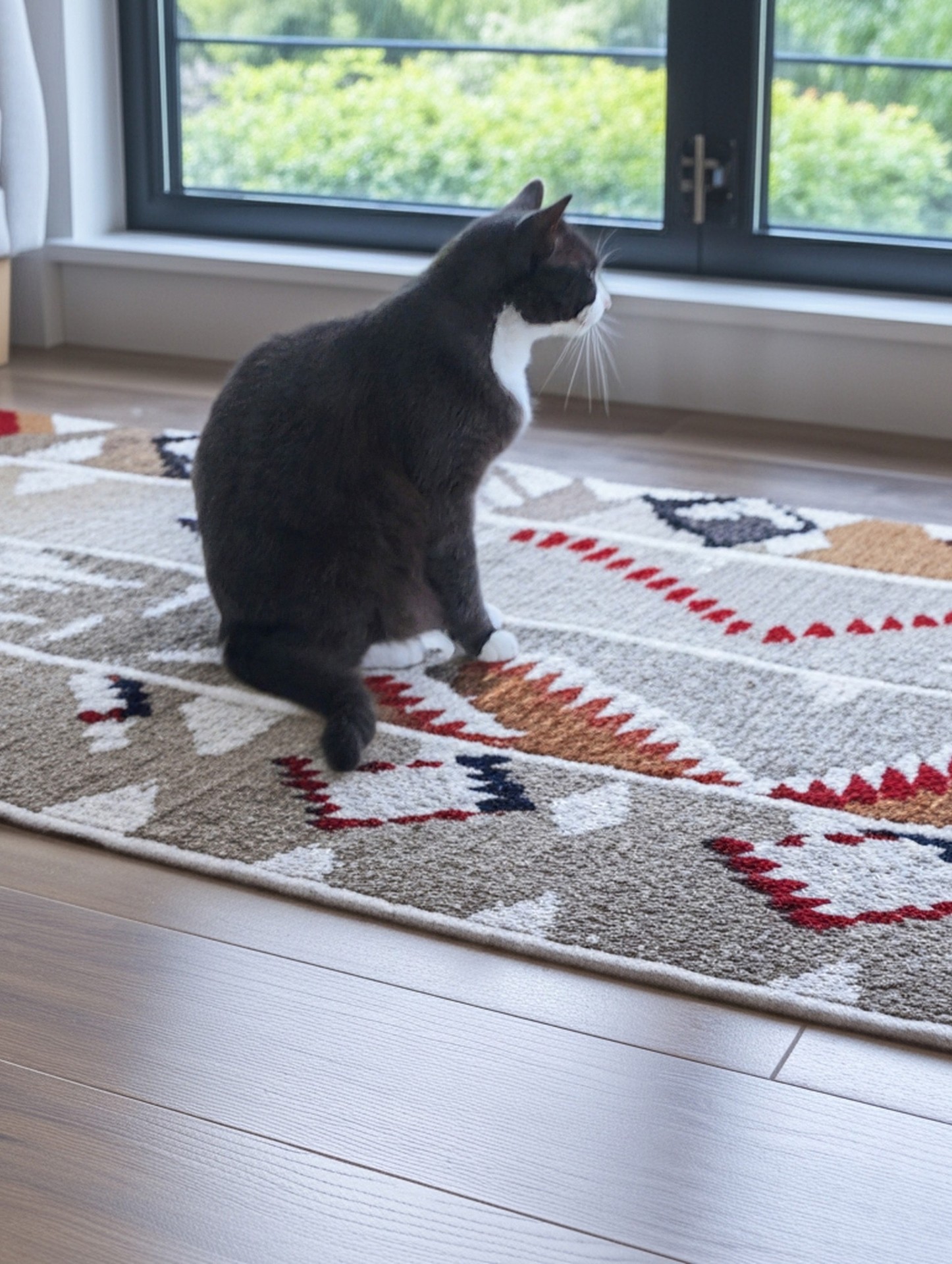 carpet, Floor Hintergrundbilder