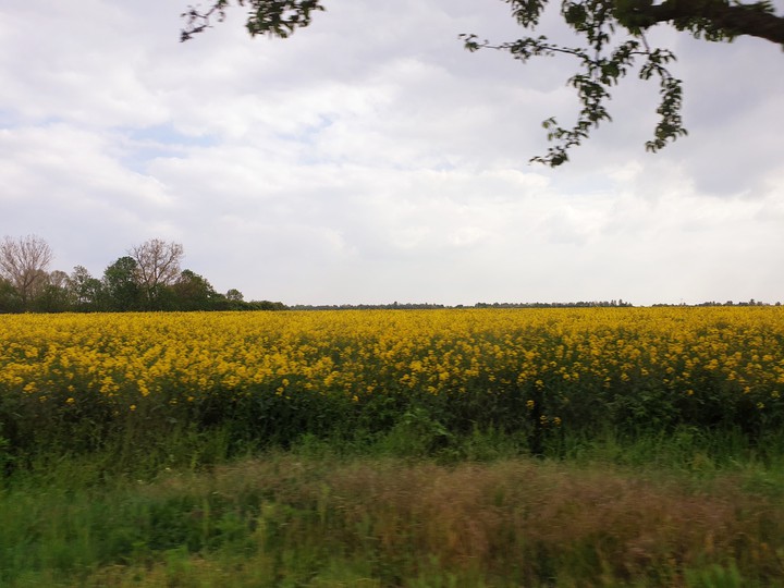Nature
