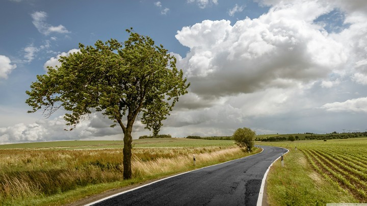 Spring Landscape Nature