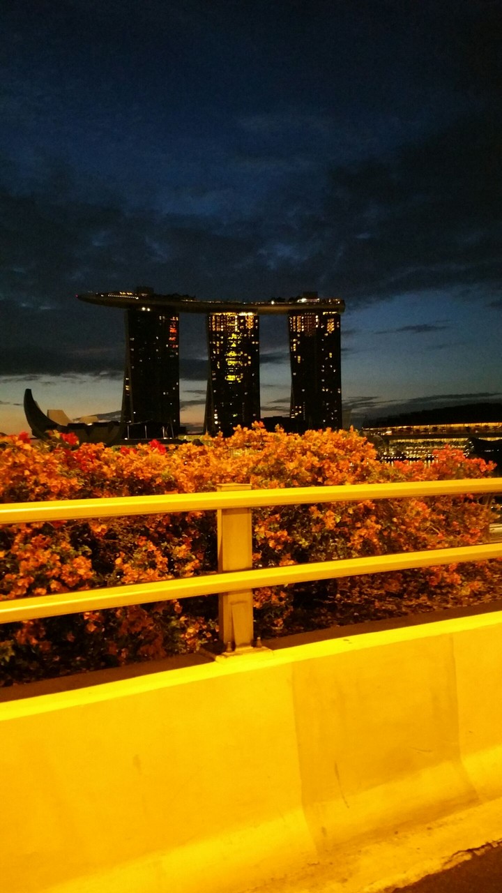 garden by the bay, marina bay sands