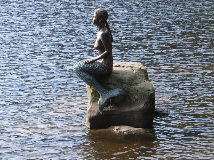 Mummelsee
