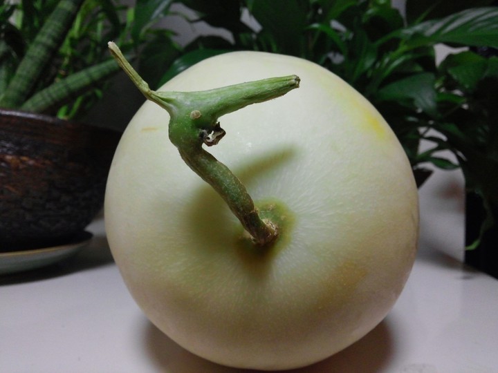 Melon ?