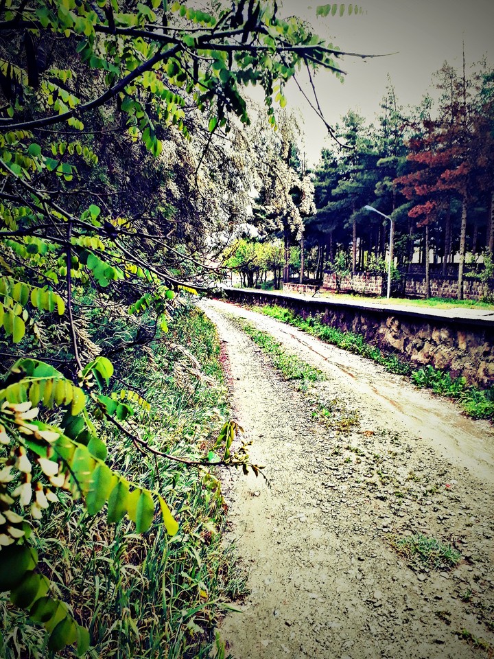 mellat park