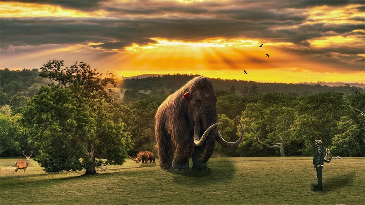 mammoths