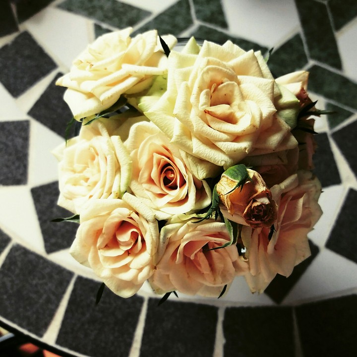 flower 