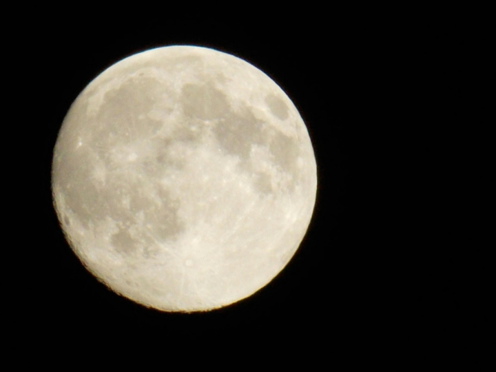 Moon