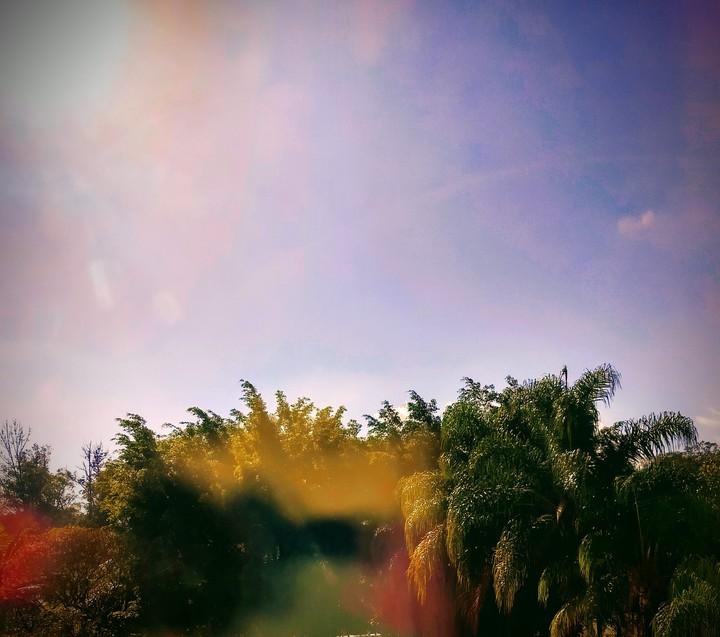 La nature