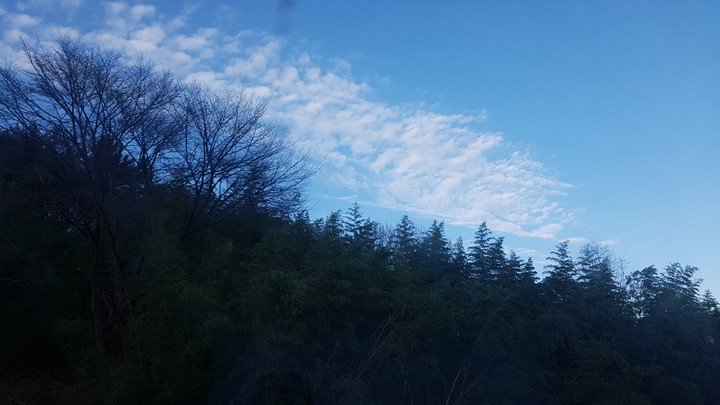 하늘