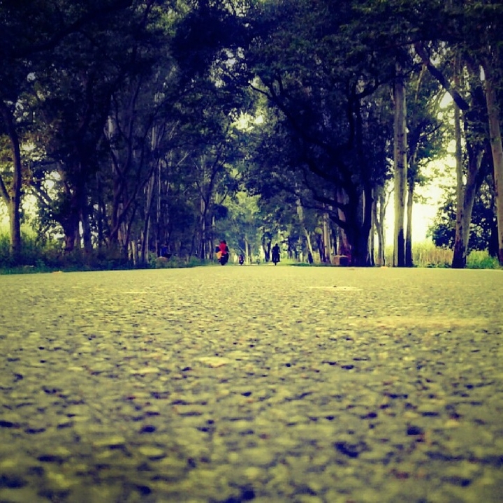 my way