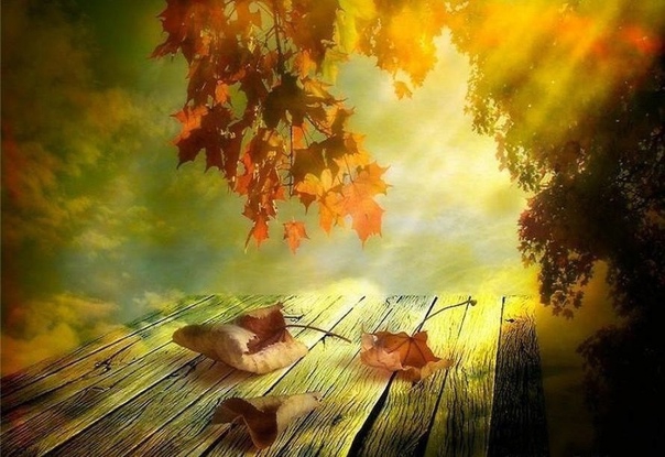 autumns shine