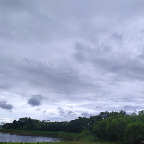 paisagem